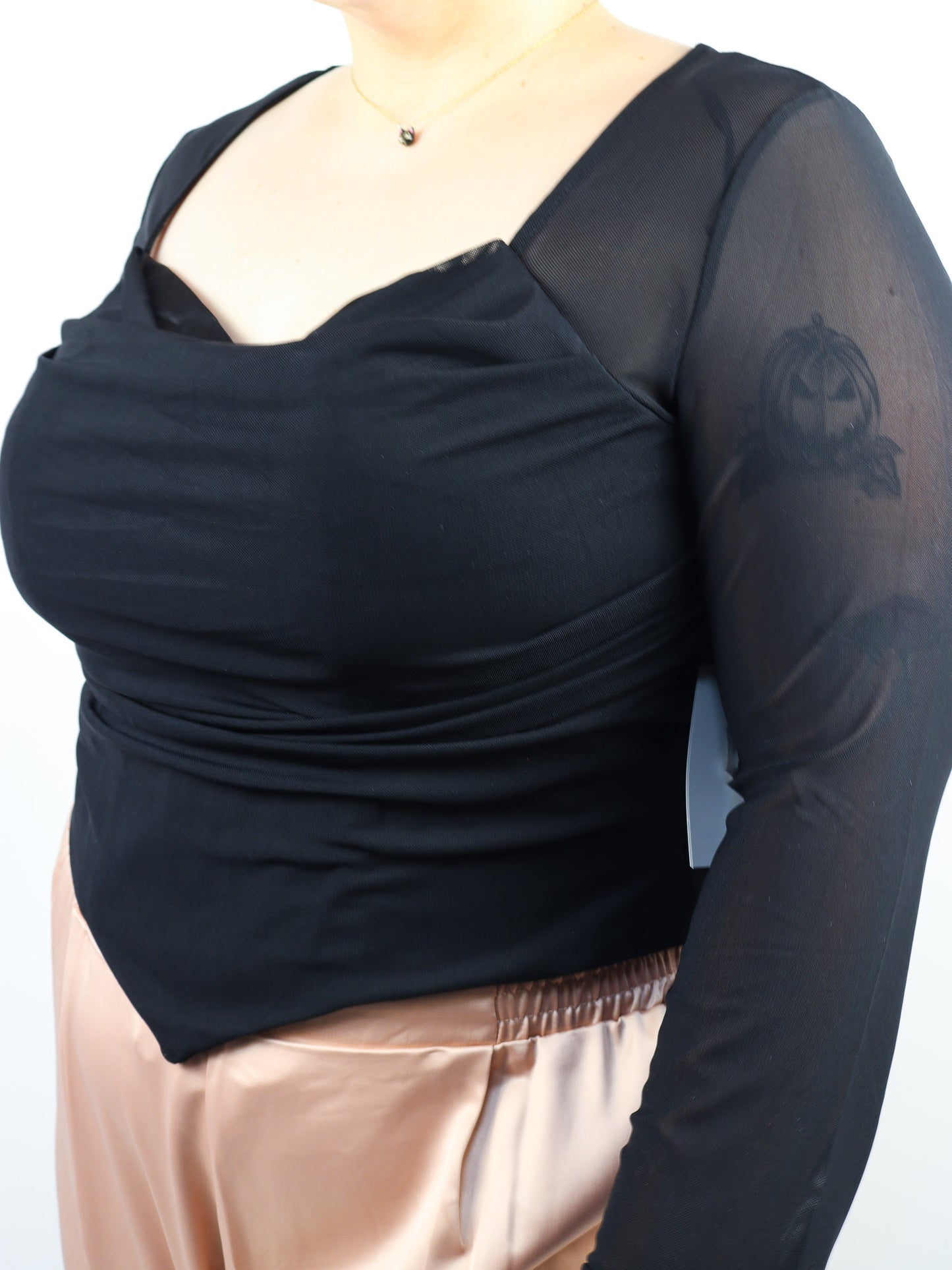 Sheer Cropped Long Sleeve Top