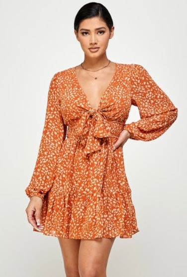 Fall Vibes Orange Long Sleeve Dress