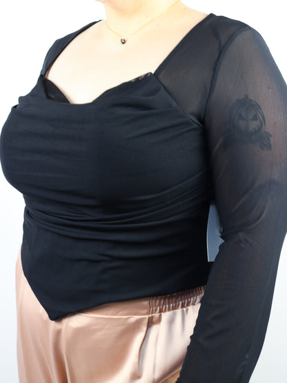 Sheer Cropped Long Sleeve Top