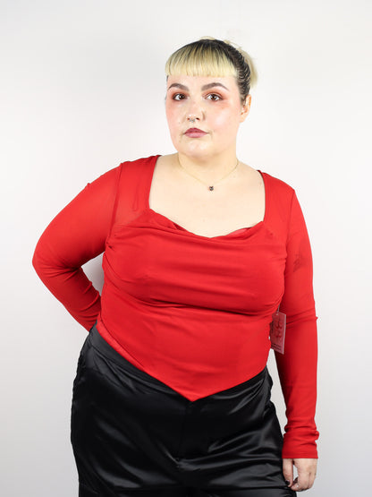 Sheer Cropped Long Sleeve Top